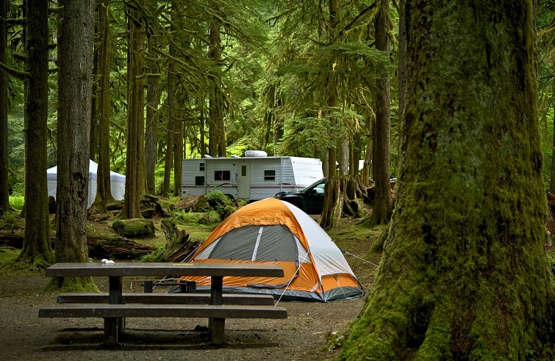 5 Best Smallest Camper With Bathroom - Shower and Toilet