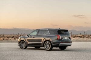 Here Are the Common Hyundai Palisade Problems for Used Models