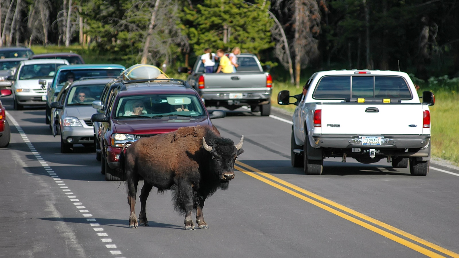 Wyoming