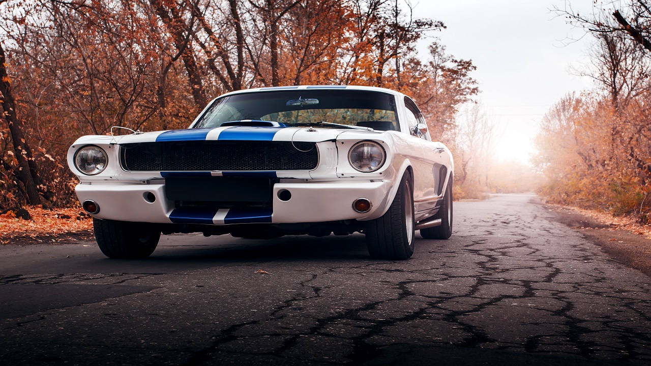 1965 Shelby GT350