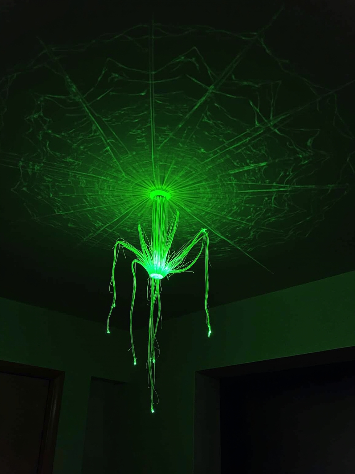 glow in the dark spider webs